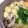 サンディサンディ's cooksnap of when they made ふわふわ鶏団子のちゃんこ鍋.