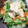 おやつ缶's cooksnap of when they made ゆで野菜のオイマヨソースがけ.