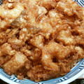 sofy0324's cooksnap of when they made たっぷり＊サクサクかき揚げ丼.