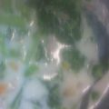 桃色ドーナツ's cooksnap of when they made 菜の花と角切り野菜のカラフルミルクスープ.