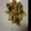 momomo9999's cooksnap of when they made 青梗菜の炒め物.