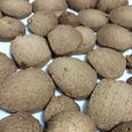 rem0426's cooksnap of when they made きな粉でクッキー.