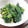 ぴょん0904's cooksnap of when they made 小松菜のごま和え.