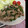 のんののはちみつ's cooksnap of when they made 節約！！豚こまとピーマンの中華風炒め.