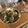 ちべせん's cooksnap of when they made 玉ねぎとにんじんと納豆の炒めサラダ風.