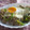 スタイリッシュママ's cooksnap of when they made 進化した洋風目玉焼き丼☆.