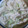 秋夏月's cooksnap of when they made 白菜のゴママヨ和え.