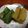 ママちゃんのママ's cooksnap of when they made 超簡単☆タピオカ粉でわらび餅風ミルク餅.