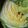 ブエ観音's cooksnap of when they made 白菜の漬け物.