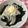 Akeimmy's cooksnap of when they made ☆うまい！わかめサラダ☆.