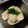 yam5656's cooksnap of when they made かぶの梅マヨ和え.