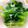 ちょろこぱん's cooksnap of when they made 簡単！小松菜のじゃこ炒め.