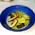 モ～ちゃん0508's cooksnap of when they made レタスと椎茸の和風サラダ.