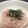 JOE12506's cooksnap of when they made しらたき　たらこスパソース炒め.