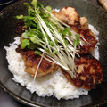 かめぴぃぴぃ's cooksnap of when they made 新タマネギの鶏つくね丼.