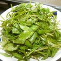 Satoco❋'s cooksnap of when they made せりの和え物～ムッチム風.