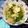 ふたごゆき's cooksnap of when they made スープに擦り胡麻～♪♪.