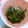 olive11's cooksnap of when they made ほうれん草ときな粉のごまあえ.