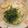 zupi's cooksnap of when they made すばやく作るフォー.