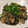 ちろぽぽ's cooksnap of when they made 激ウマ★さんまの蒲焼♪.