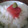 stw's cooksnap of when they made さっぱりおいしい♪たらことわさびご飯.
