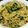 masumi0526's cooksnap of when they made 春菊とツナのパスタ.