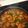 くまちゃん0209's cooksnap of when they made 野菜たっぷり！鶏モモ肉のトマト煮込み‼.