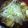 Erichuan's cooksnap of when they made 体調不良に生姜うどん.