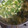 まりゆりひろこ's cooksnap of when they made ５分完成＊ほうれん草とベーコンの卵スープ.