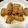 佳奈たぬき's cooksnap of when they made 簡単☆えのきの豚肉ロール☆お弁当にもღ.