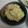 にゅにゅりんご's cooksnap of when they made 時短・簡単・格安で出来る栗きんとん.