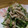 ミィヤン's cooksnap of when they made えのきツナ☆マヨポン和え.