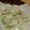 amanusa's cooksnap of when they made これなら食べれる！セロリとちくわのサラダ.