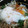 ハッピームーミン's cooksnap of when they made とろとろ温泉卵.