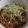 きらり流れ星's cooksnap of when they made シャキシャキきゃべつラーメン.