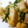 ロマンスディレクター's cooksnap of when they made 里芋とほうれん草のバター醤油炒め.