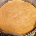 chirotan60's cooksnap of when they made しっとり、ふ～んわりスポンジ(共立て）.