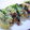 とーみママ's cooksnap of when they made 止まらない！納豆とシソのてんぷら.