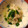 ねことみかんばこ's cooksnap of when they made 豆腐としらすのみぞれ煮.