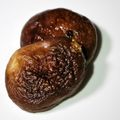 mielle's cooksnap of when they made 【美レシピ】美味しい椎茸の食べ方.