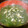 Satoco❋'s cooksnap of when they made 干しえびとワカメのスープ.