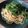 ちいハム's cooksnap of when they made 照り焼きチキンの和風パスタ.