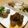 なっサン's cooksnap of when they made ひき肉でサイコロステーキ☆すてき.