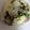 あいべりー's cooksnap of when they made 超簡単♥︎カブの葉ごはん。ご飯のお供☻.