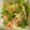 liutan's cooksnap of when they made 節約☆かぶのわさび醤油和え.
