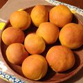 ちびーーず's cooksnap of when they made ＨＢ☆かぼちゃぱん.
