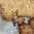 ほわ〜's cooksnap of when they made オートミールクッキー.