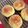 エターニア's cooksnap of when they made 手こねパン 気軽な手捏ね.