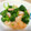 3dori3's cooksnap of when they made 海老とブロッコリーの黒胡椒炒め.