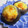はっぴーはりぼ's cooksnap of when they made ●椎茸のマヨチーズ焼き●.